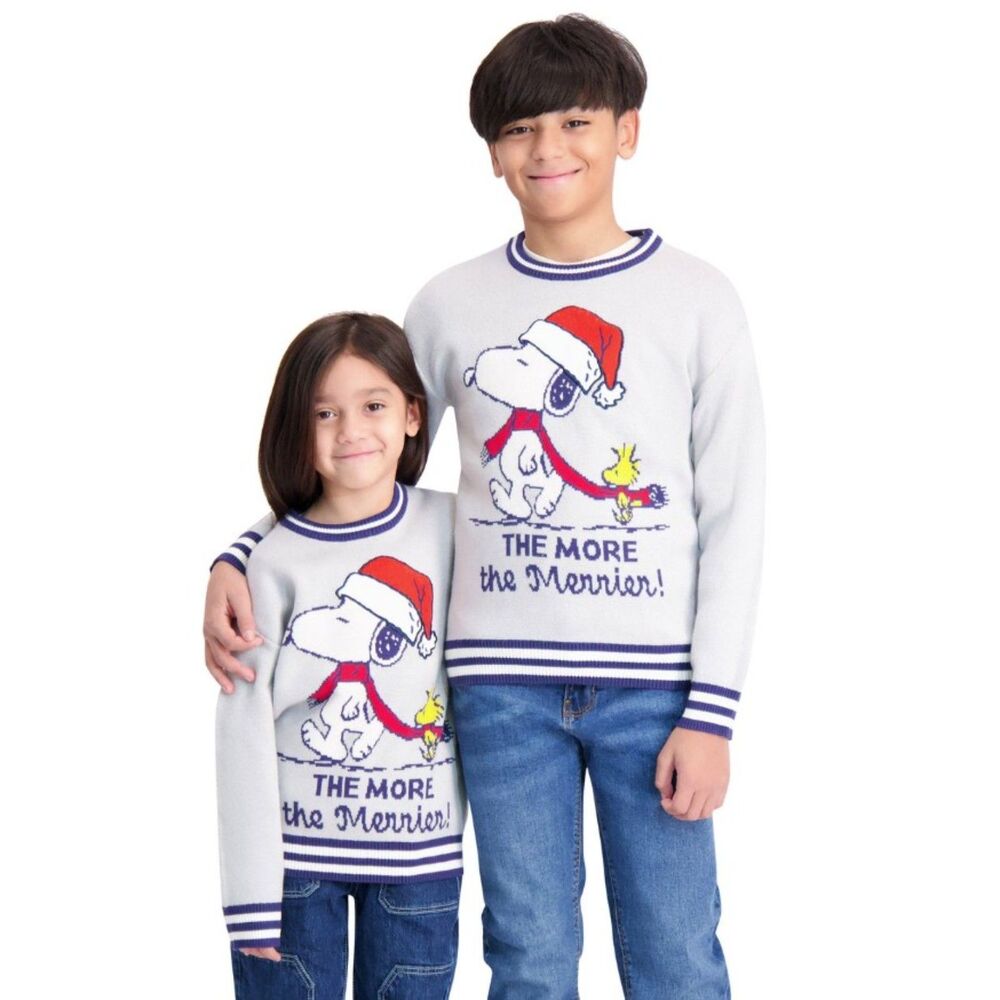 Unisex Sz Medium (10/12) Gray SNOOPY WOODSTOCK Holiday Crew Neck Sweater PEANUTS